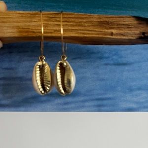 Gold cowrie hoops